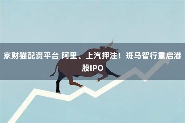 家财猫配资平台 阿里、上汽押注！斑马智行重启港股IPO